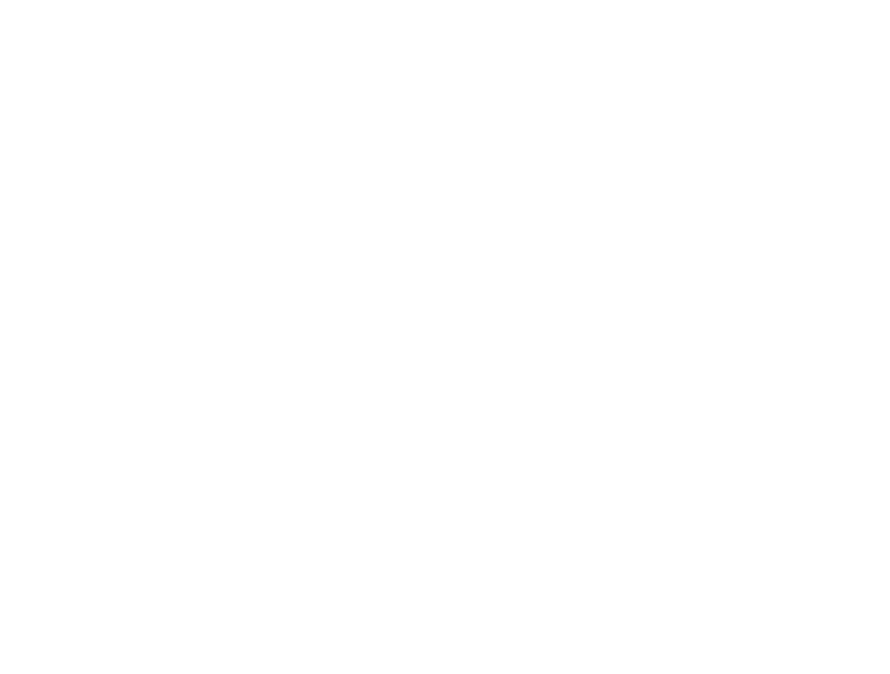 Midas Capital Management